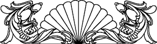 Shell Fan Pattern 11
